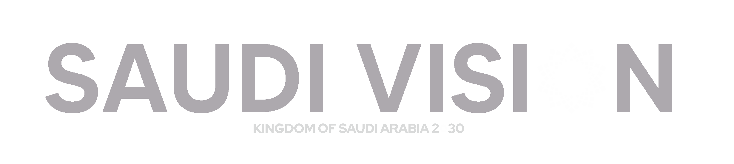 The Saudi Vision